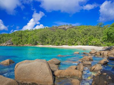 Wundor Seychelles