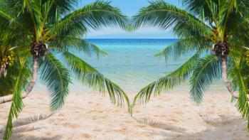 Tropicals tours